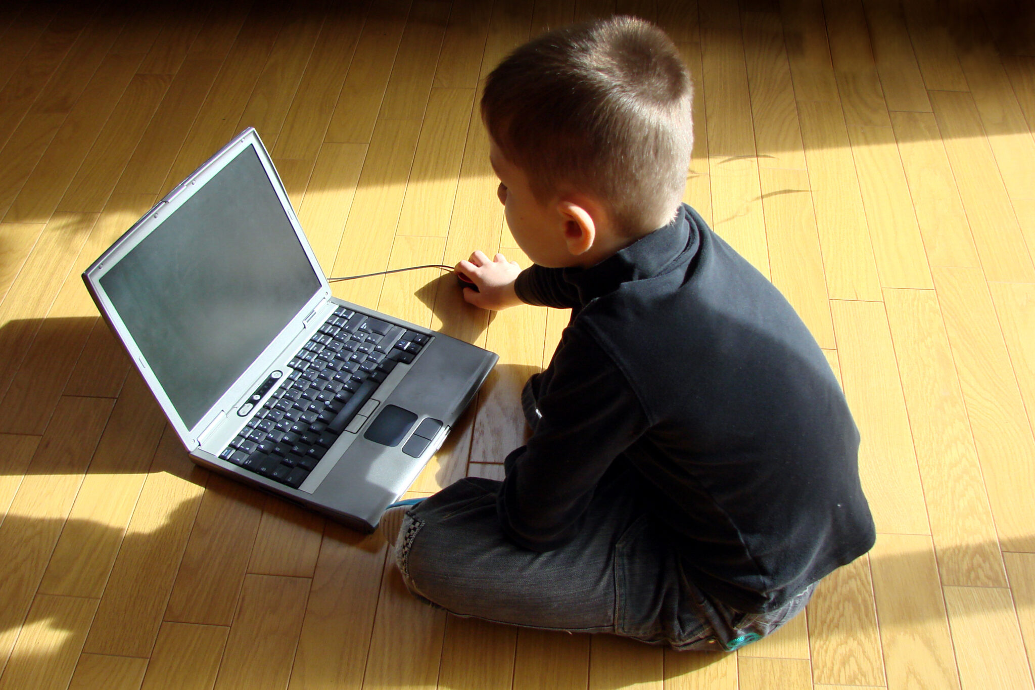 dangers de la cybercriminalité