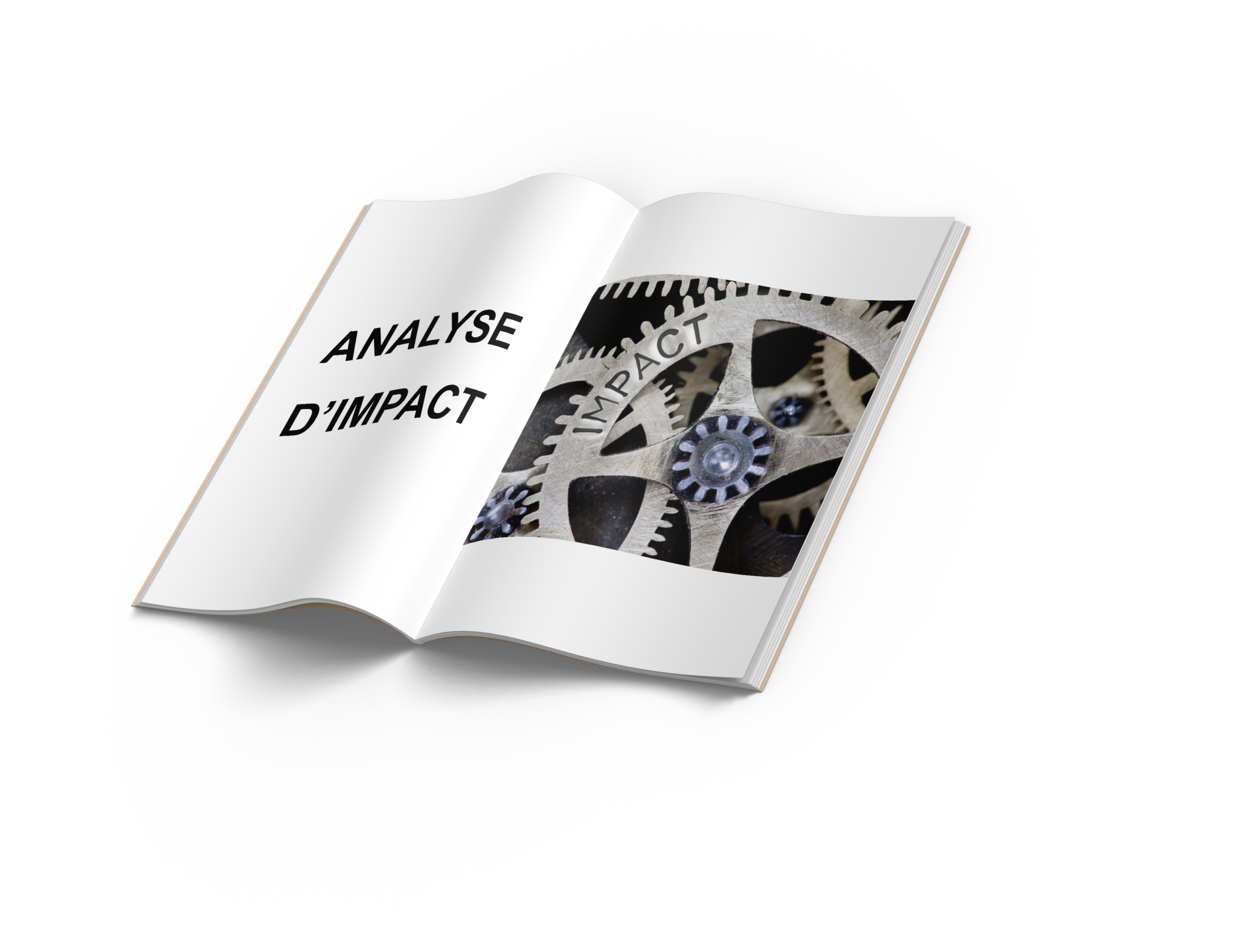analyse d'impact dans le secteur public