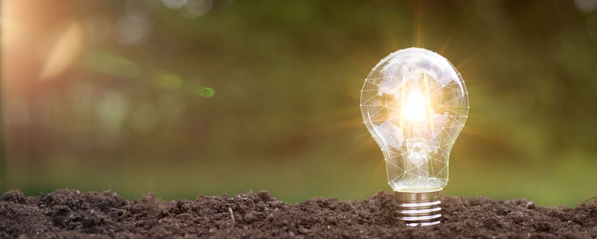 lightbulb with small plant on soil and sunshine. concept saving lightbulb tree with sunlight on soil. concept save world and energy power